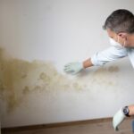 how to clean mold on drywall