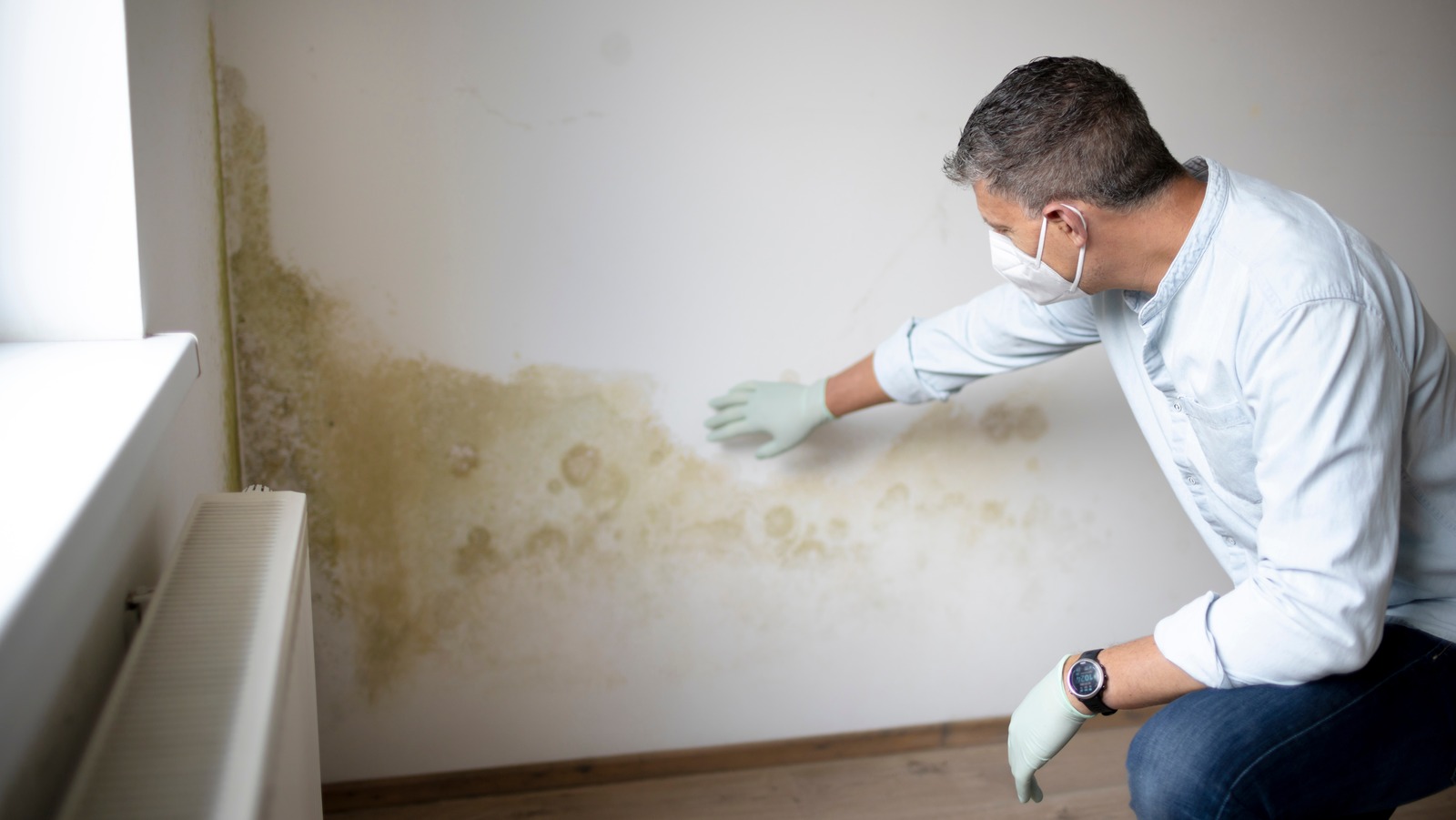 how to clean mold on drywall